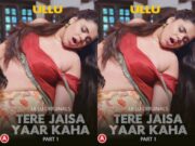 Tere Jaisa Yaar Kaha – Part 1 Episode 4